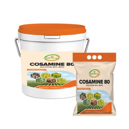 COSAMINE 80